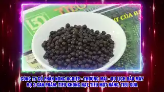 Sản phẩm công nghiệp nông thôn cấp khu vực năm 2022