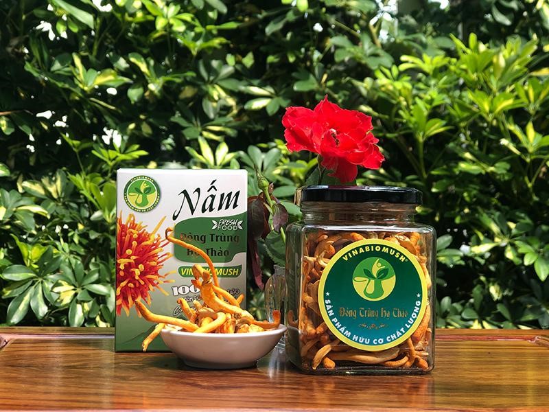 Công ty TNHH Nấm Sinh học Việt Nam